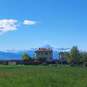 Asilo per Cani - Ordine di Villa Bellocchio