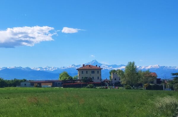 Asilo per Cani - Ordine di Villa Bellocchio